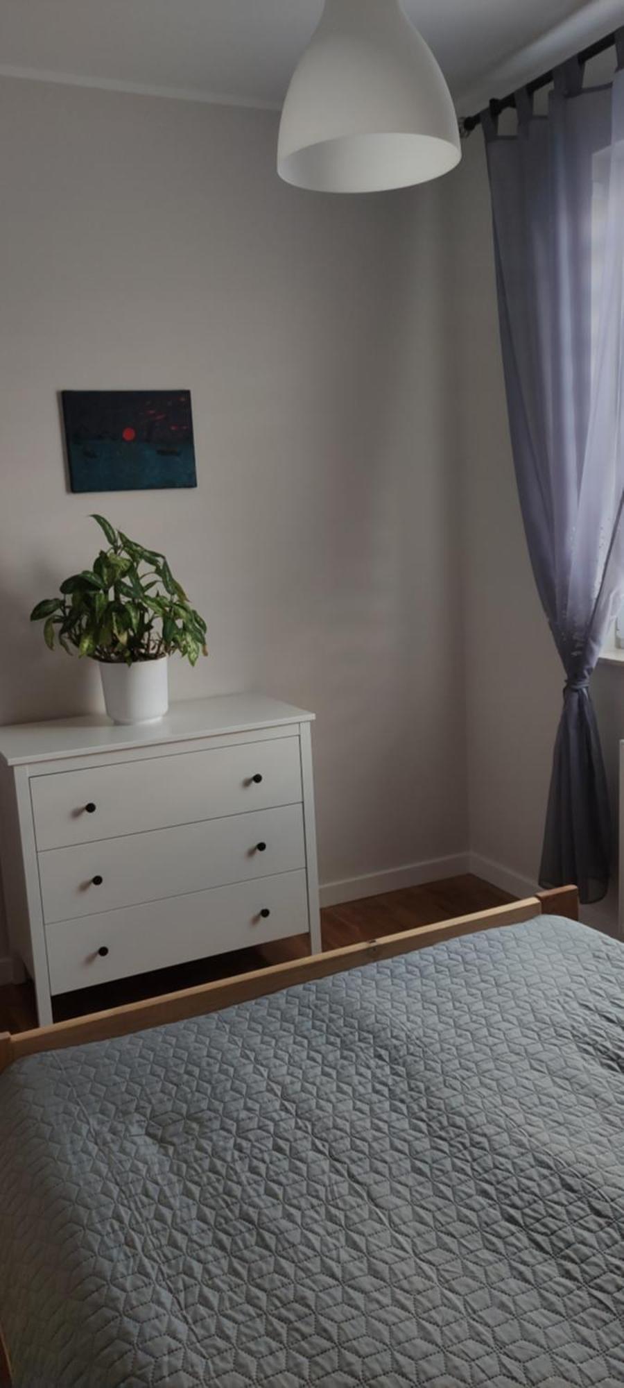 Apartament Zielone Zamienie Eksteriør bilde