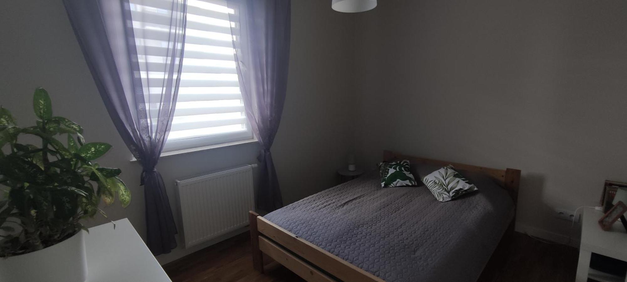 Apartament Zielone Zamienie Eksteriør bilde